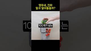 유튜브 썸네일