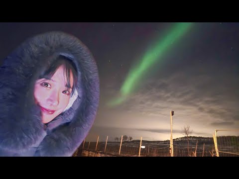我終於看到極光了！🤩 (I FINALLY Got To See The NORTHERN LIGHTS!)