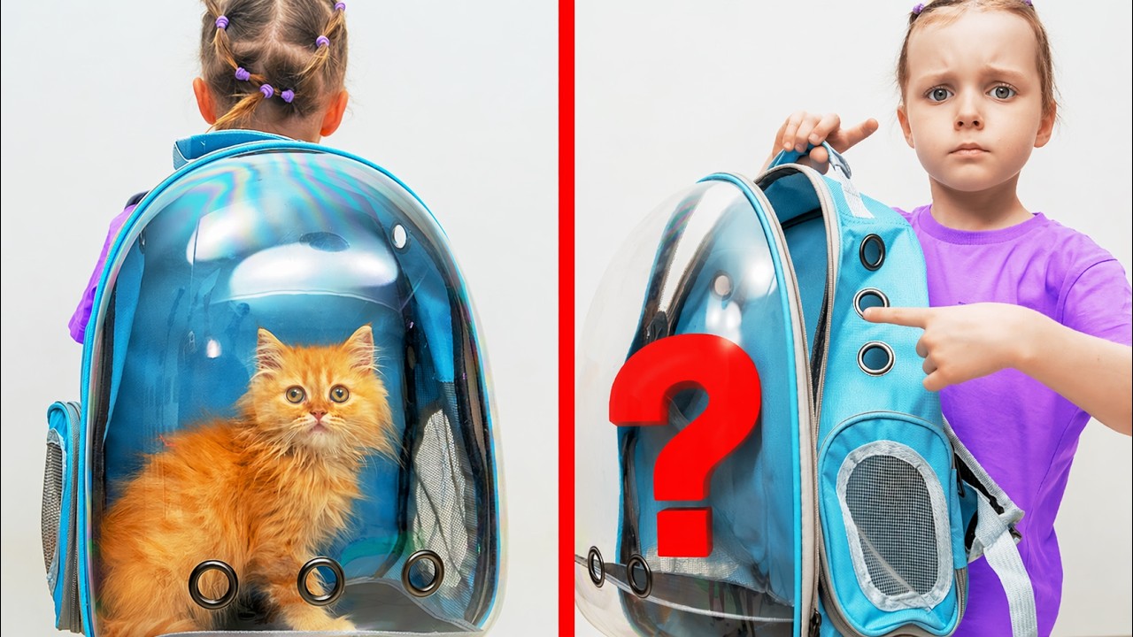 Where Did the Kitty Go? Dasha and Dad Work Together to Find the Furry Friend