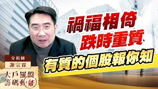 禍福相倚 跌時重質 有質的個股報你知 (圖)