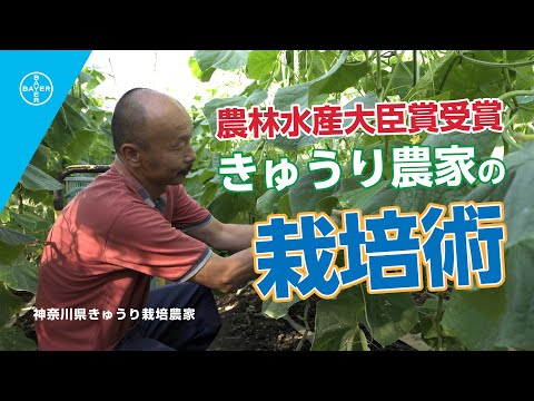 , title : '【プランテクトユーザーインタビュー　神奈川県　きゅうり栽培農家】湿度を上手にコントロールしながら病気を恐れない管理を実践されています。'