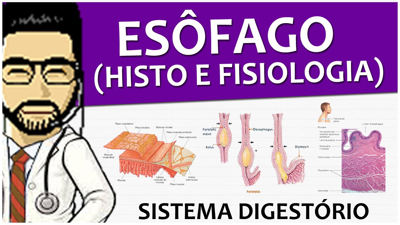 Sistema Digestório 09 - Esôfago P2 + Histologia do canal alimentar