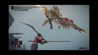 Re: [問題] 法環－有近戰派也覺得老頭尼奧很難打嗎