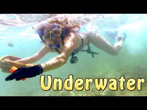 Catching Fish Underwater - Tropical Island Part 2 of 14