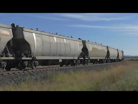 3242 loaded grain from Barellan