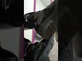 Intense Squeaking In My New Boots
