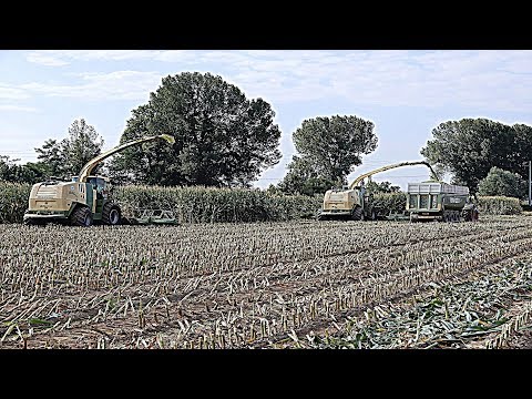 COPETA (2017) - 2 KRONE BIG X 1100 - 2200 CV IN CAMPO - TRINCIATO MAIS ALLETTATO