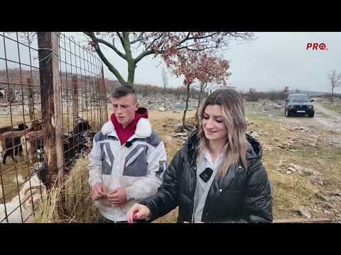 MARIO BRINE O KOZAMA NAKON OČEVE SMRTI