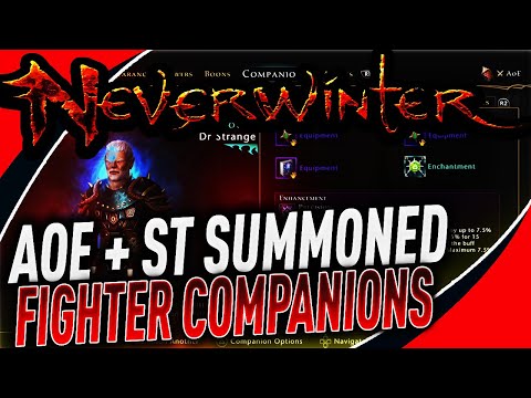 BEST AoE + Single Target SUMMONED FIGHTER COMPANIONS in Neverwinter