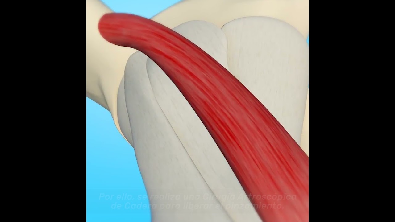 Miguel E. Fernández Castillo-3