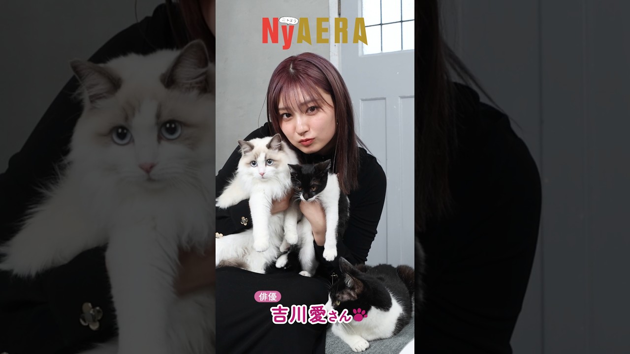 吉川愛さん「猫へのラブレター」　by NyAERA