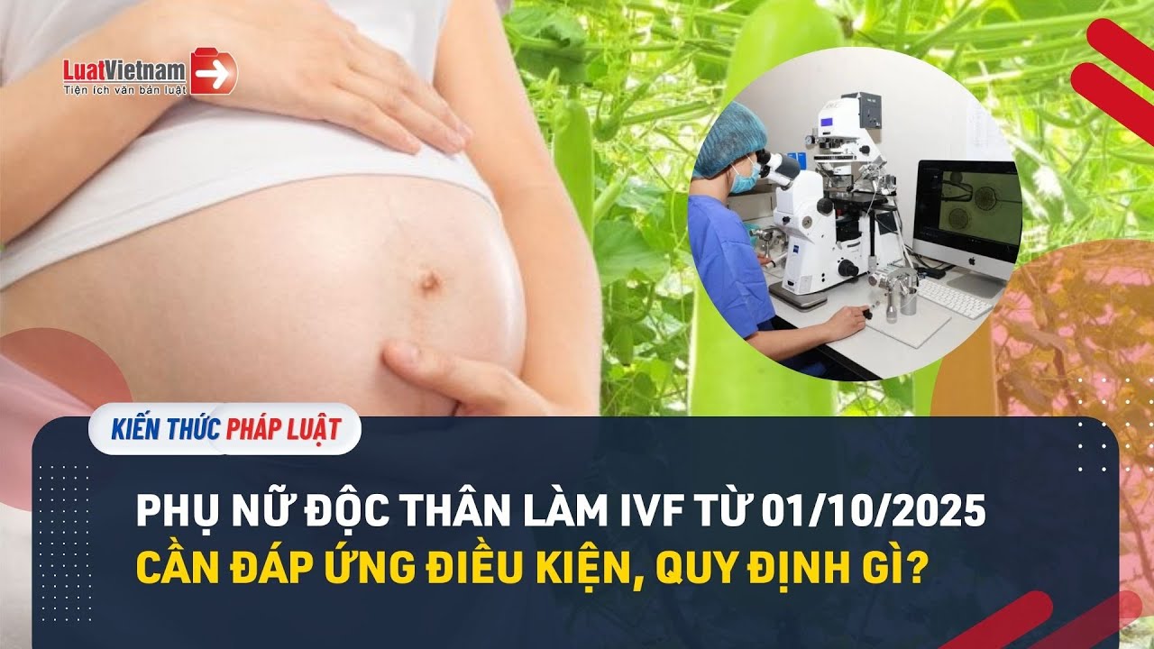 Phụ nữ độc thân là IVF từ 01/10/2025 cần đáp ứng điều kiện, quy định gì?