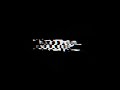 CANDY COATED RAZORBLADES INTRO