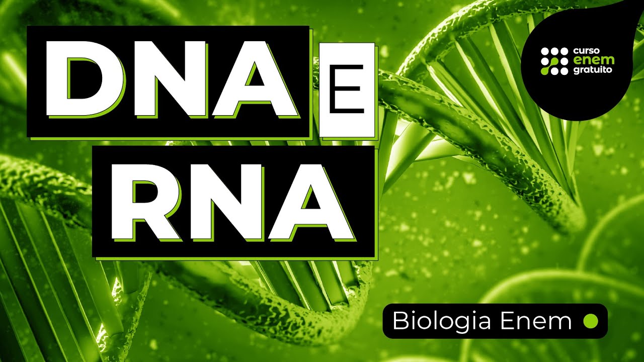 DNA E RNA | Resumo de Biologia para o Enem