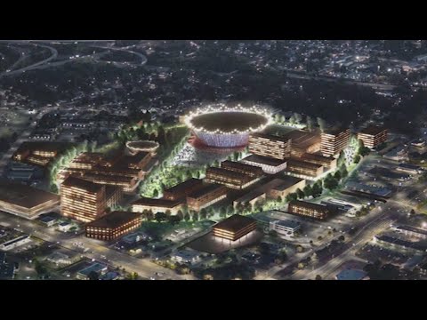 'We have been talking to two national leagues for franchises' Pharrell says in pitch to build arena