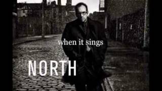 Bài hát When It Sings - Nghệ sĩ trình bày Elvis Costello