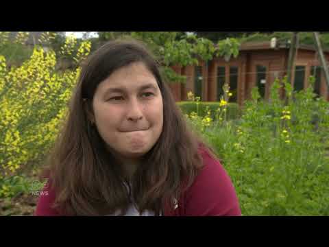 Festina Lente Virgin Media