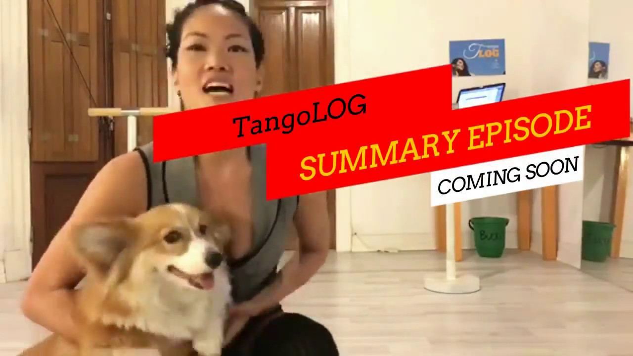 TangoLOG #12 coming soon: Summary Episode