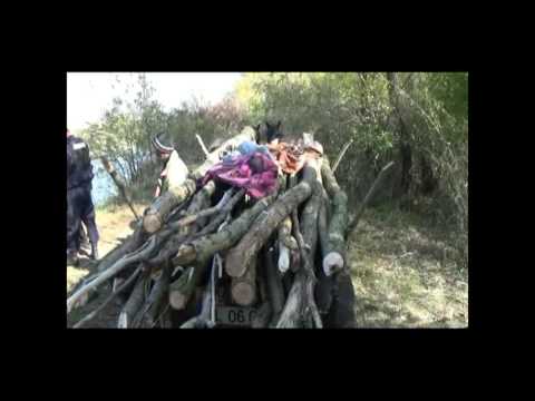 Prinsi in flagrant de jandarmi cand furau lemne