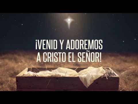Venid, Fieles Todos - Adoración La IBI [Video de LETRAS OFICIAL]
