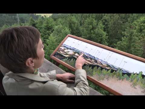 Autobusem na výlet - Rozhledna Královec - hrad Brumov