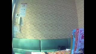 Tommy heavenly6／Heavy Starry Chain