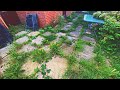 CRAZY One-Day Garden MAKEOVER | Before & After Spectacular