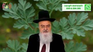 הגאון הרב אהרון בוטבול - הלכה יומית - כ"ד אייר התשפ"ה - ברכות הריח - טעם אישי מול דעת הרבים (הרב אהרון בוטבול) - התמונה מוצגת ישירות מתוך אתר האינטרנט יוטיוב. זכויות היוצרים בתמונה שייכות ליוצרה. קישור קרדיט למקור התוכן נמצא בתוך דף הסרטון הגאון הרב אהרון בוטבול - הלכה יומית - כ"ד אייר התשפ"ה - ברכות הריח - טעם אישי מול דעת הרבים (הרב אהרון בוטבול) - התמונה מוצגת ישירות מתוך אתר האינטרנט יוטיוב. זכויות היוצרים בתמונה שייכות ליוצרה. קישור קרדיט למקור התוכן נמצא בתוך דף הסרטון