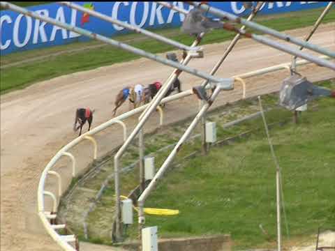 Garryglass Champ - Coral Regency Heat 2 Hove 26/04