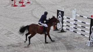 Video von Prestigious