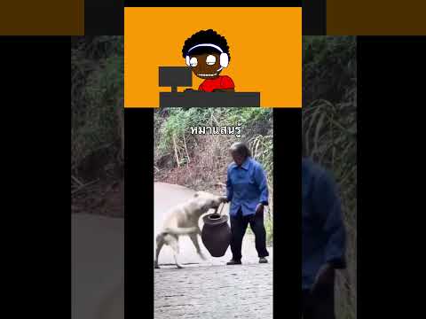เลี้ยงไม่เปลืองข้าวสุก #memes #animatin #roblox #animanik #animation  #funny #comedy #humor