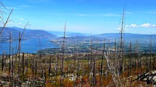 Black Saturday Bushfires Australia - Nature Recovers