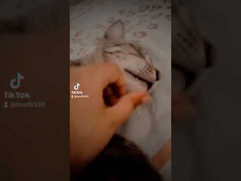 #video#reels#youtubereels#@musfira