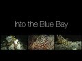 4k Into the Blue Bay, Blue Bay Divers, Sahaung Island, Nord Sulawesi, Indonesien, Sulawesi