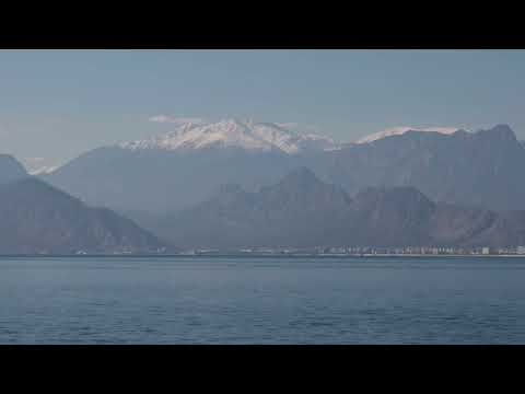 Late-Night Thoughts Under a Starlit Sky 🌌✨