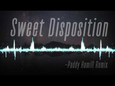 The Temper Trap - Sweet Disposition (Paddy Hamill Remix)