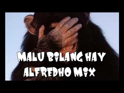 MALU BILANG HAY (58 RAP GANK ALFREDHO MIX/ABE RAP)