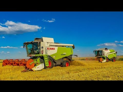 Wielkie Żniwa 2019 z Firmą Hadam ☆ 3 Kombajny na Jednym Polu ! ☆ 4 x Claas Lexion 650,Tucano 430,320