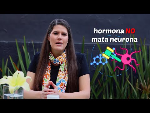 ¿Hormona mata neurona?