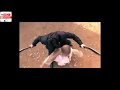 Kungfu Chinese Martial Arts Fight Scene Power Of Martial Arts