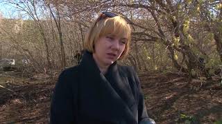 Рыбалка в степном озере алтайского края