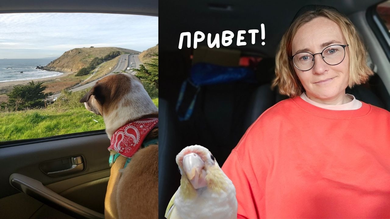 весточка (длинная и хаотичная, как и полагается :-)