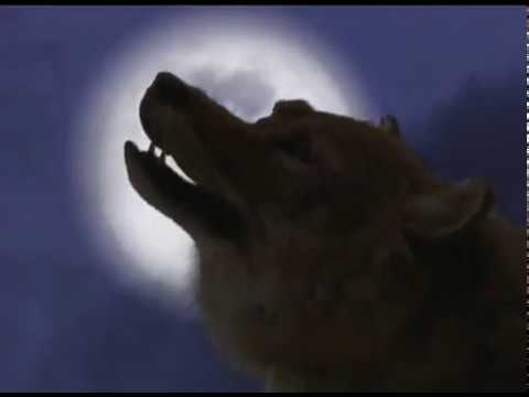 Muppets The Jim Henson Hour Trailer Louie Anderson