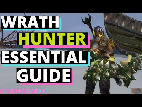 Wrath Hunter Essential Guide : How to Hunter | Wotlk Hunter Primer | WoW Classic
