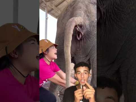 صاصا كوميدي اكسبلور دويتو comedyfilms