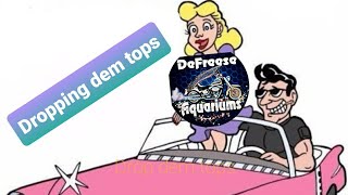 Drop Dem Tops Clean up you Lids