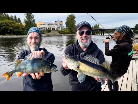 Pirtinvirran upeat kalat - Kalastusta keskellä kaupunkia - Varkaus - Ahvenen ja kuhan kalastus