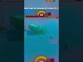 Shark cleans my teeths bruh  #revivefeedandgrowfish #feedandgohome #shark #feedandgrowfish #edit