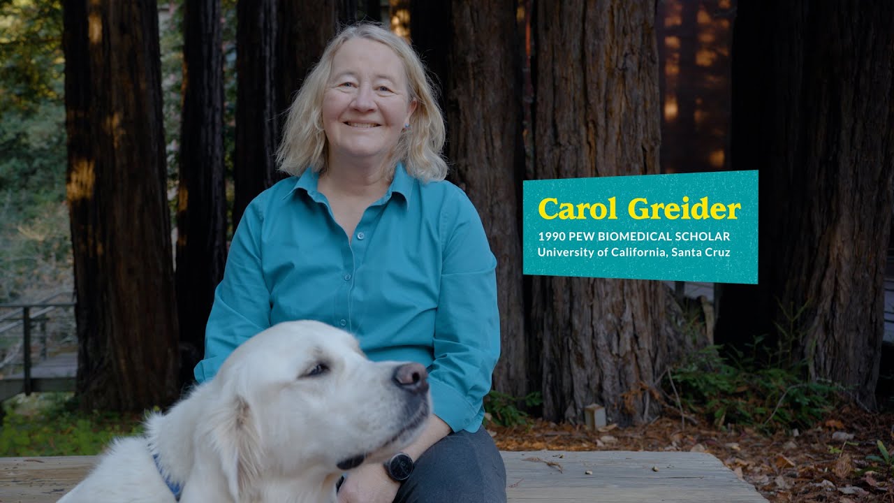 What telomeres tell us about aging and disease | Pew scholar Dr. Carol Greider