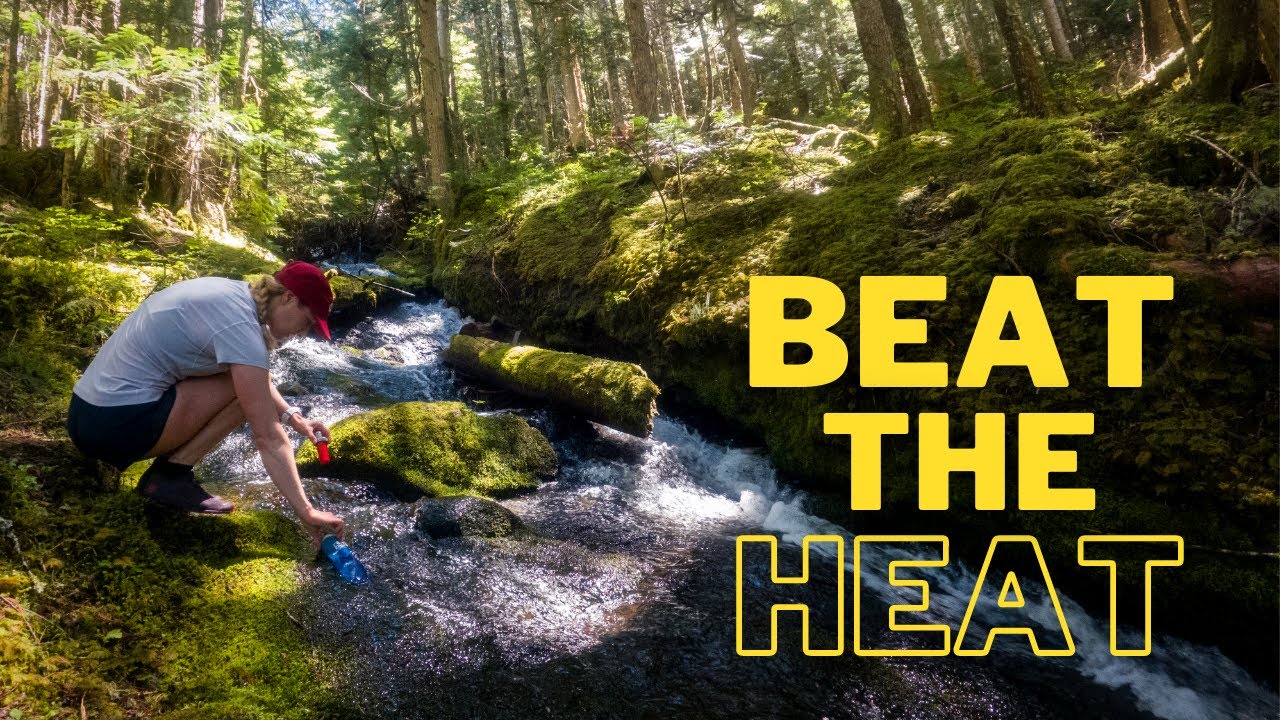 🏃‍♂️ Summer Trail Running in Yarra Valley: The Ultimate Guide! 🌿